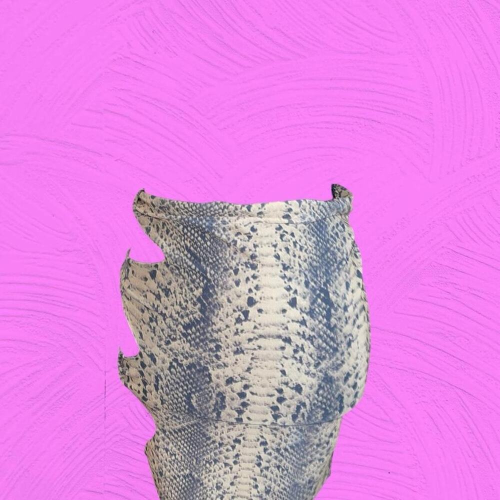 Matte Collection Snakeskin Print Mini Skirt
